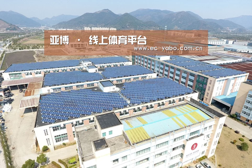 案例展示二