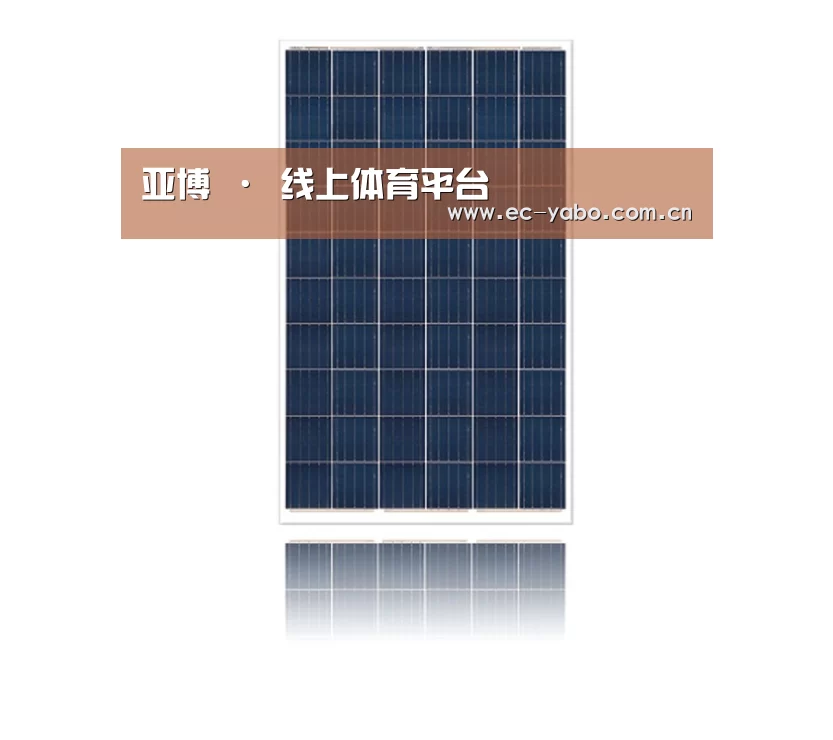 产品名称一