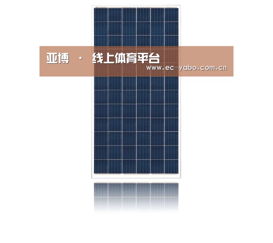 产品名称一