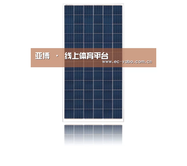 产品名称一