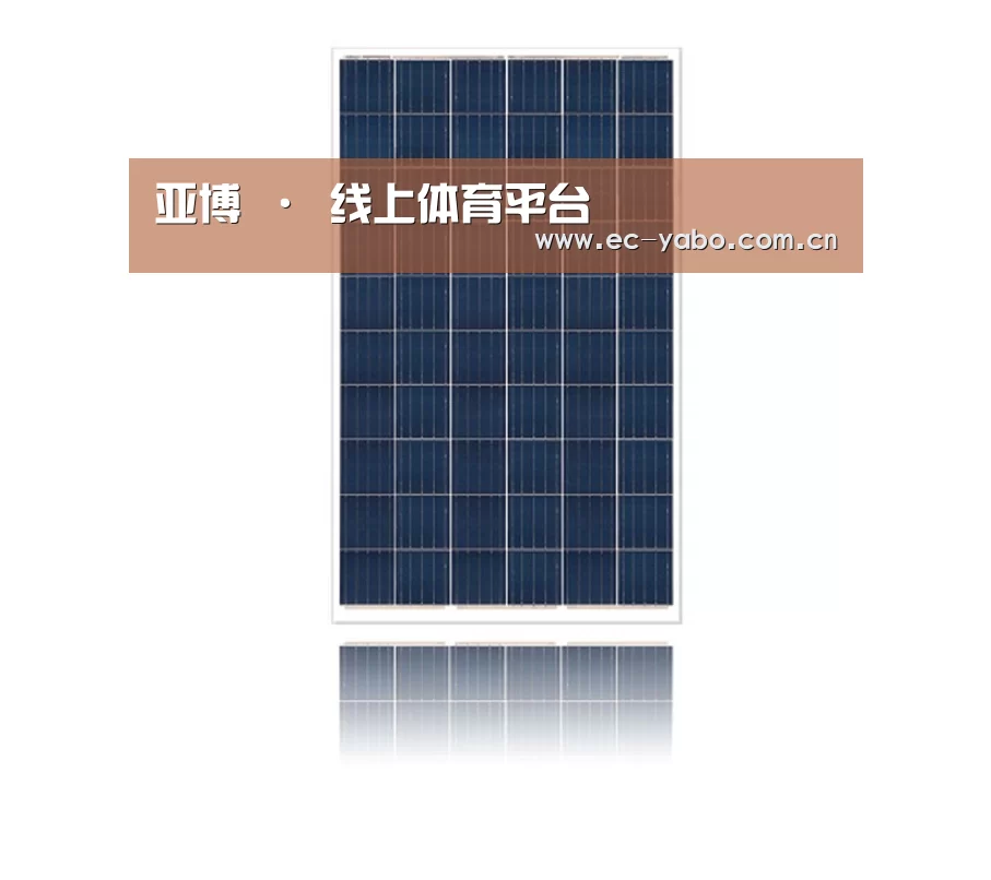 产品名称一