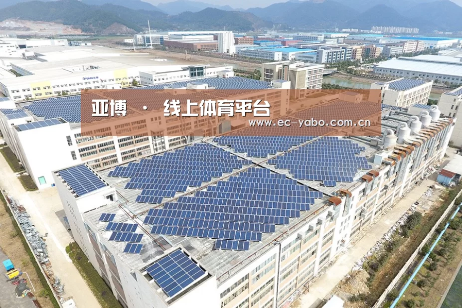 案例展示四