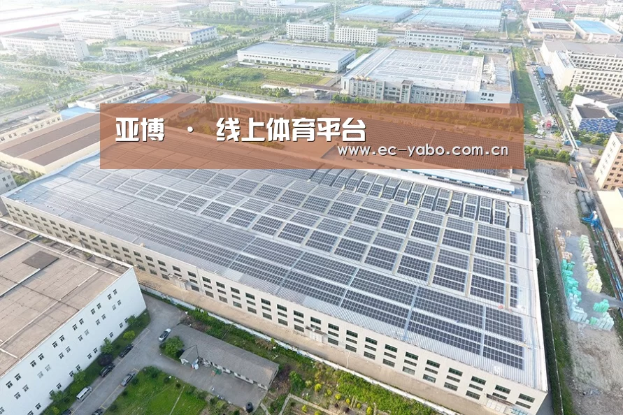 案例展示二