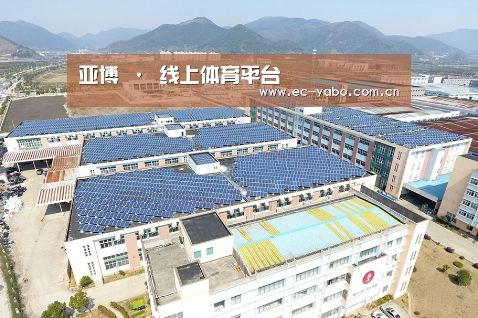 案例展示三