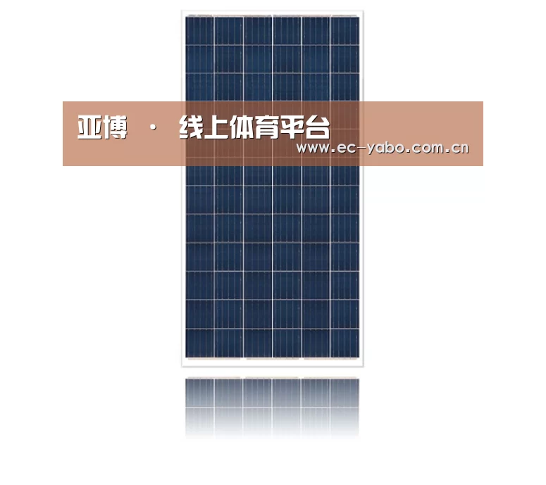 产品名称一