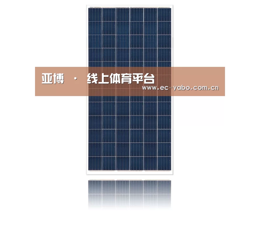 产品名称四