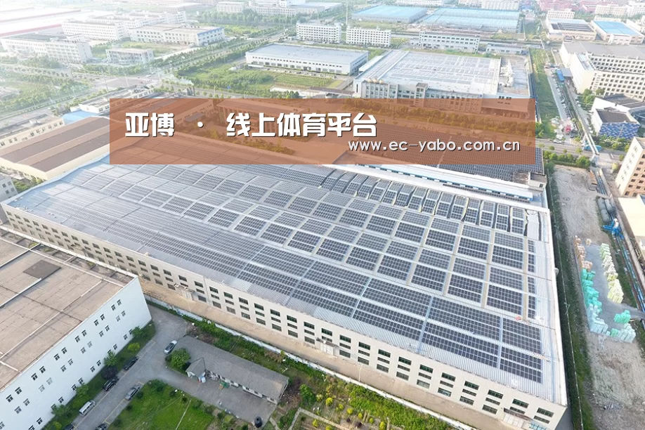 案例展示四