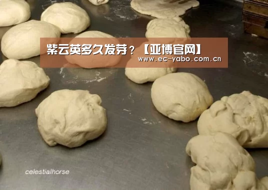 亚博体育下载