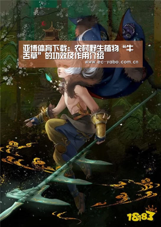 亚博体育