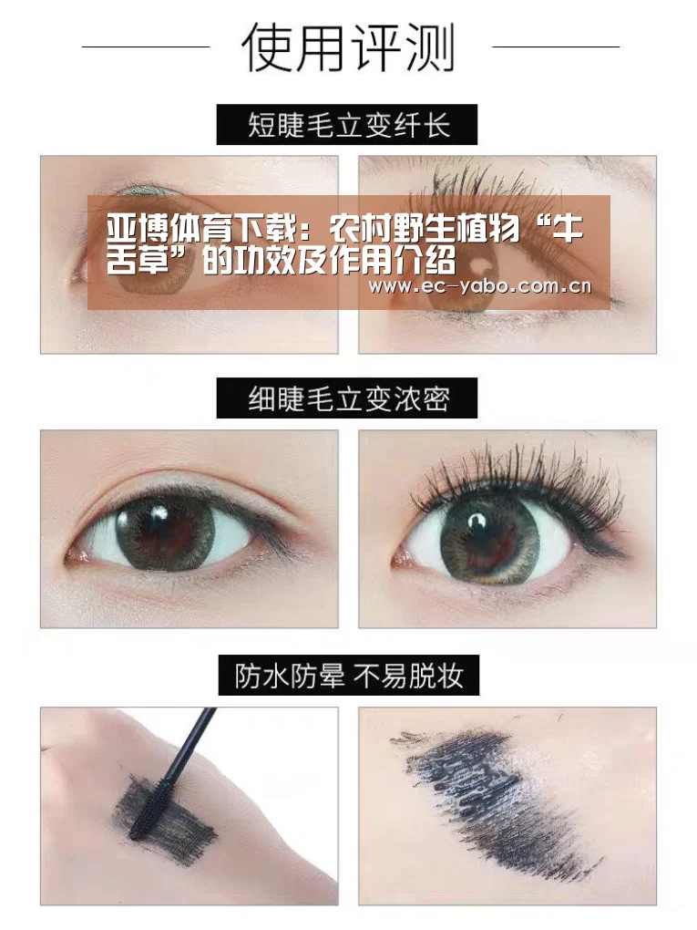 亚博官网