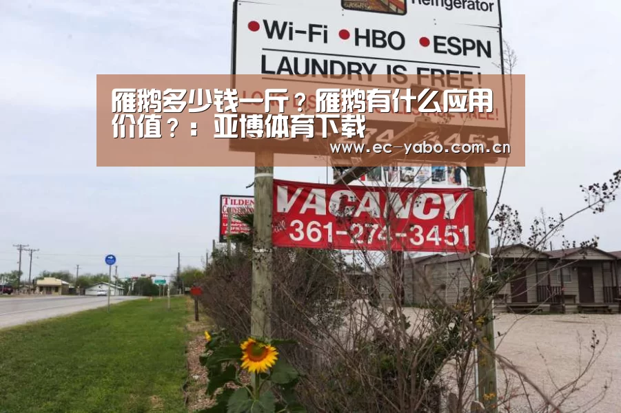 亚博体育官网