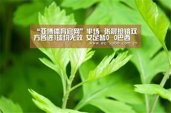 “亚博体育官网”半场-张晨抢镜双方各进1球均无效 女足暂0-0巴西(图3) 亚博体育官网