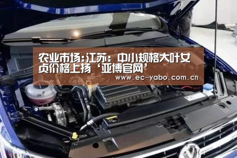 农业市场:江苏:中小规格大叶女贞价格上扬‘亚博官网’(图1) 亚博体育下载
