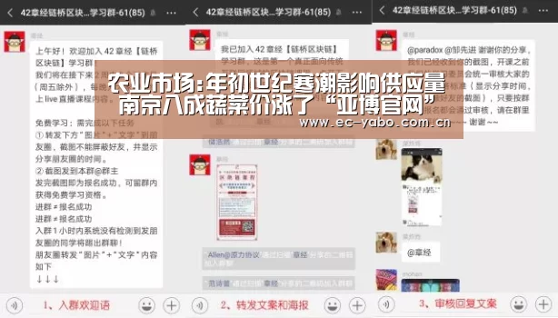 农业市场:年初世纪寒潮影响供应量 南京八成蔬菜价涨了“亚博官网”(图1) 亚博官网