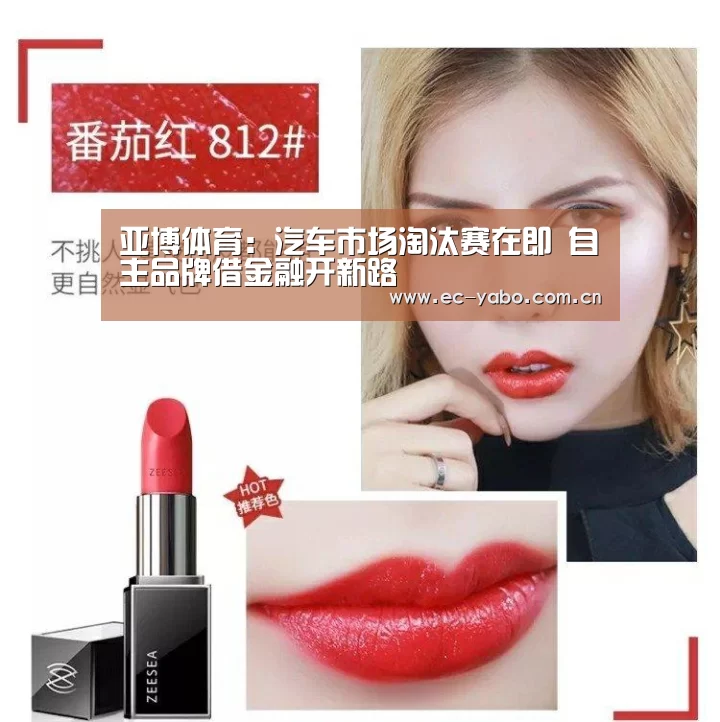 亚博体育:汽车市场淘汰赛在即 自主品牌借金融开新路(图1) 亚博官网