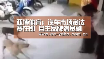 亚博体育:汽车市场淘汰赛在即 自主品牌借金融开新路(图2) 亚博官网