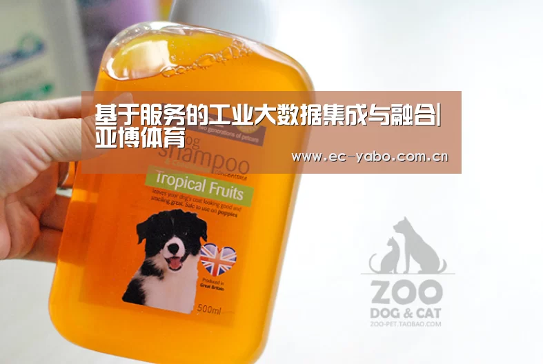 基于服务的工业大数据集成与融合|亚博体育(图2) 亚博体育