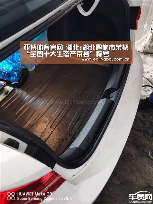 亚博体育官网_湖北:湖北恩施市荣获“全国十大生态产茶县”称号(图1) 亚博体育官网