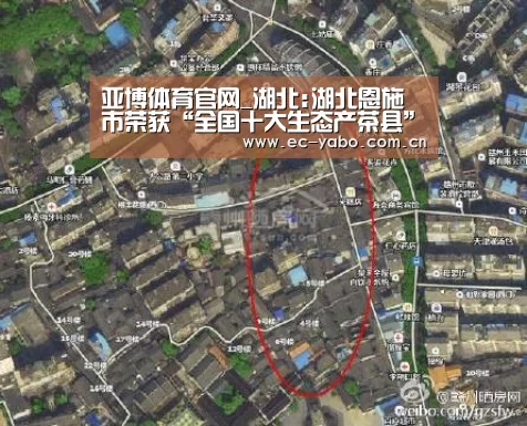 亚博体育官网_湖北:湖北恩施市荣获“全国十大生态产茶县”称号(图2) 亚博官网