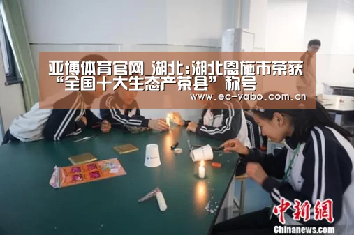 亚博体育官网_湖北:湖北恩施市荣获“全国十大生态产茶县”称号(图4) 亚博官网